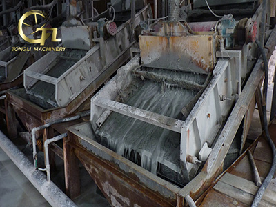 Vibrating screen oversea customer case
